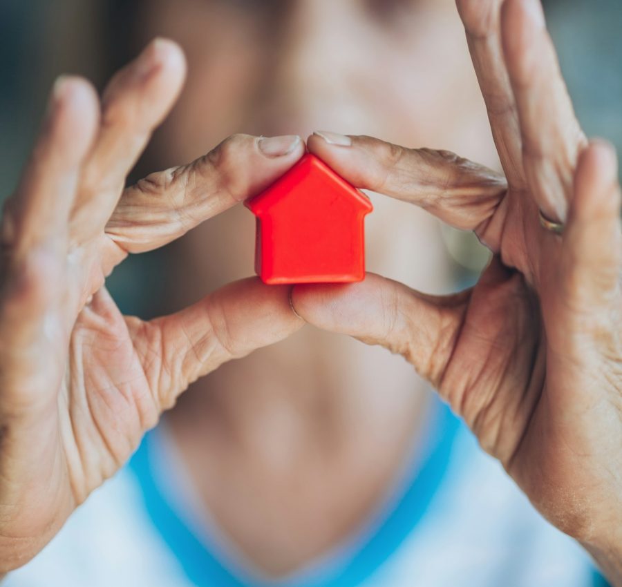 Elderly woman and her property